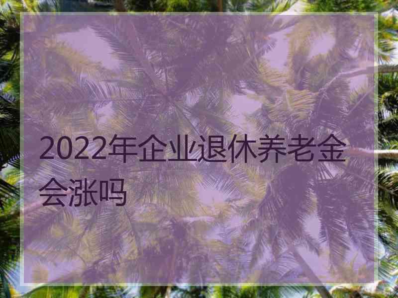 2022年企业退休养老金会涨吗