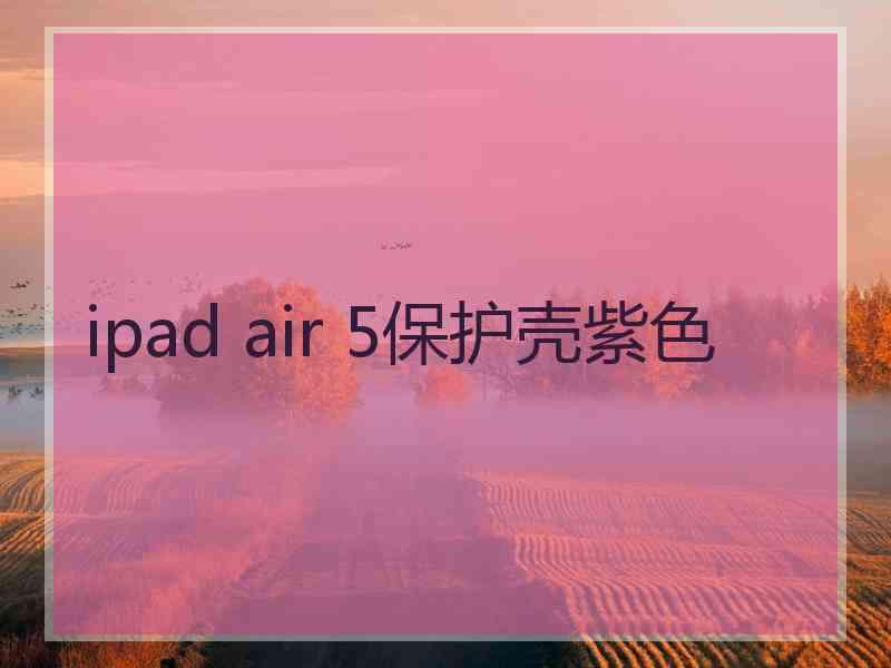 ipad air 5保护壳紫色