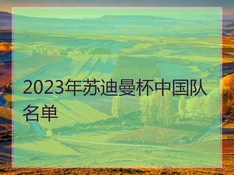 2023年苏迪曼杯中国队名单