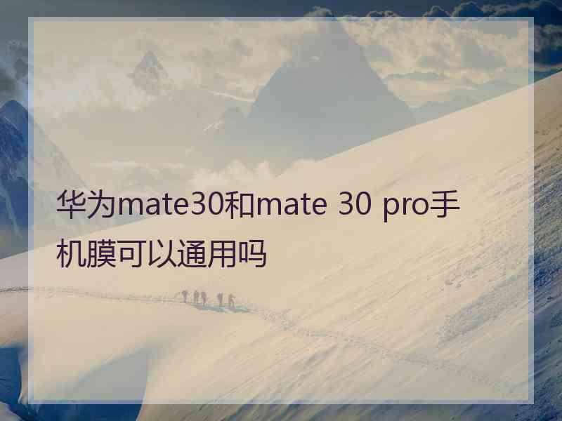 华为mate30和mate 30 pro手机膜可以通用吗