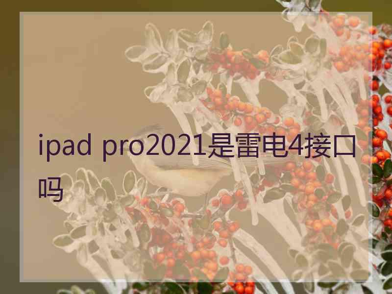 ipad pro2021是雷电4接口吗