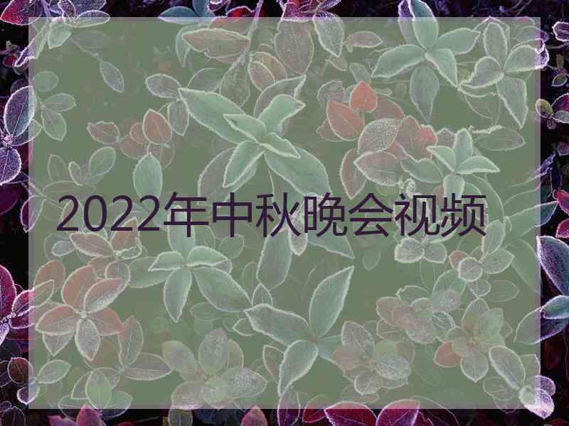 2022年中秋晚会视频