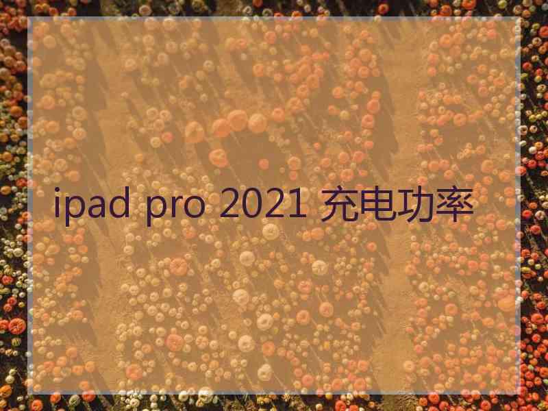 ipad pro 2021 充电功率