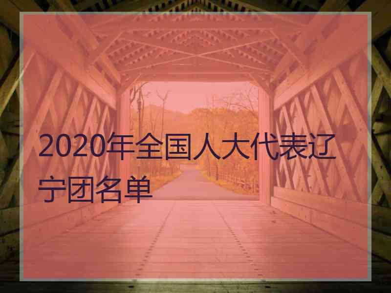 2020年全国人大代表辽宁团名单