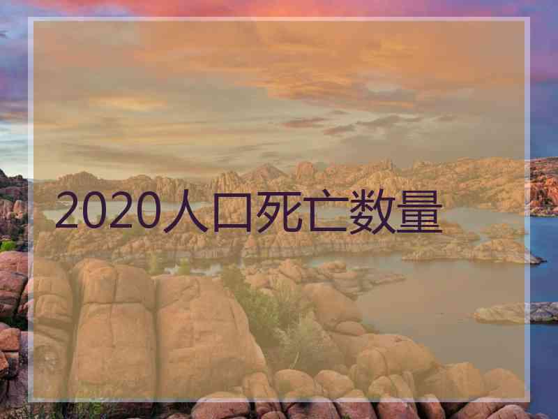 2020人口死亡数量