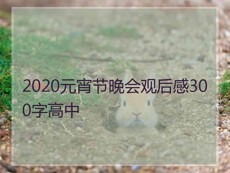 2020元宵节晚会观后感300字高中