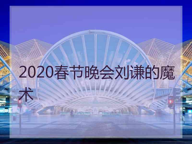 2020春节晚会刘谦的魔术