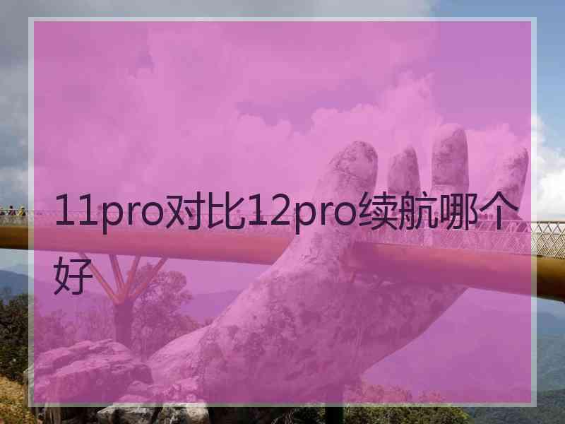 11pro对比12pro续航哪个好