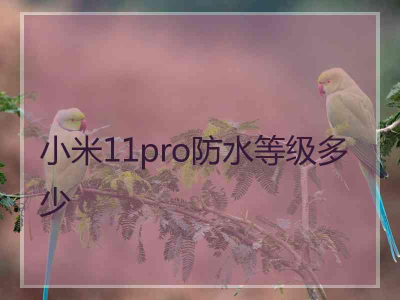 小米11pro防水等级多少