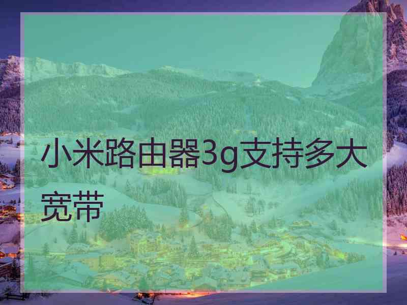 小米路由器3g支持多大宽带