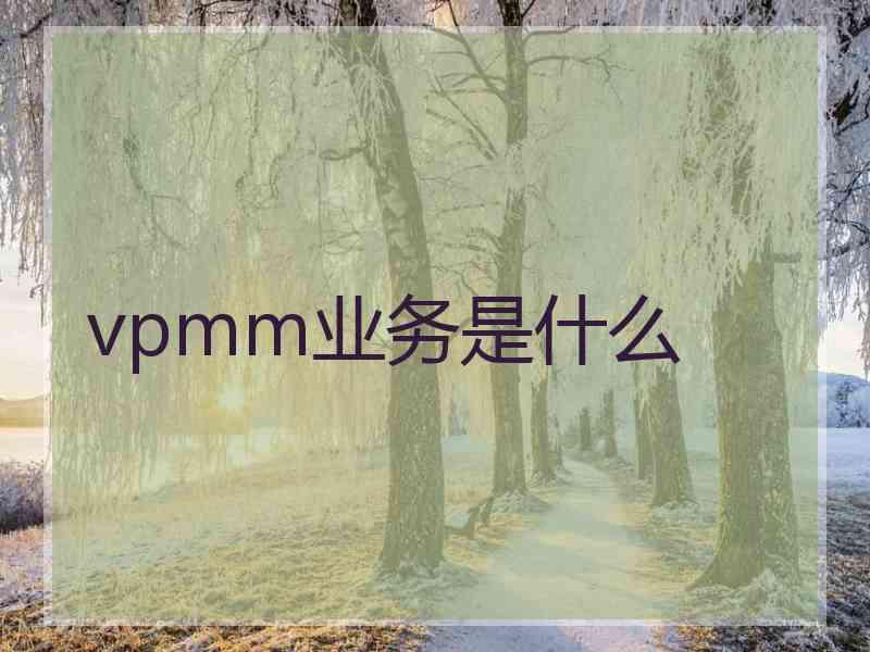 vpmm业务是什么