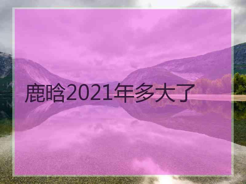 鹿晗2021年多大了