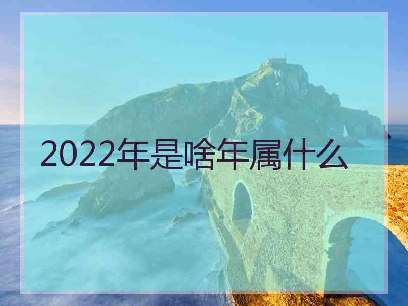 2022年是啥年属什么