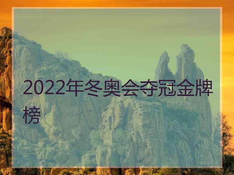 2022年冬奥会夺冠金牌榜