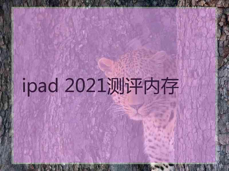 ipad 2021测评内存