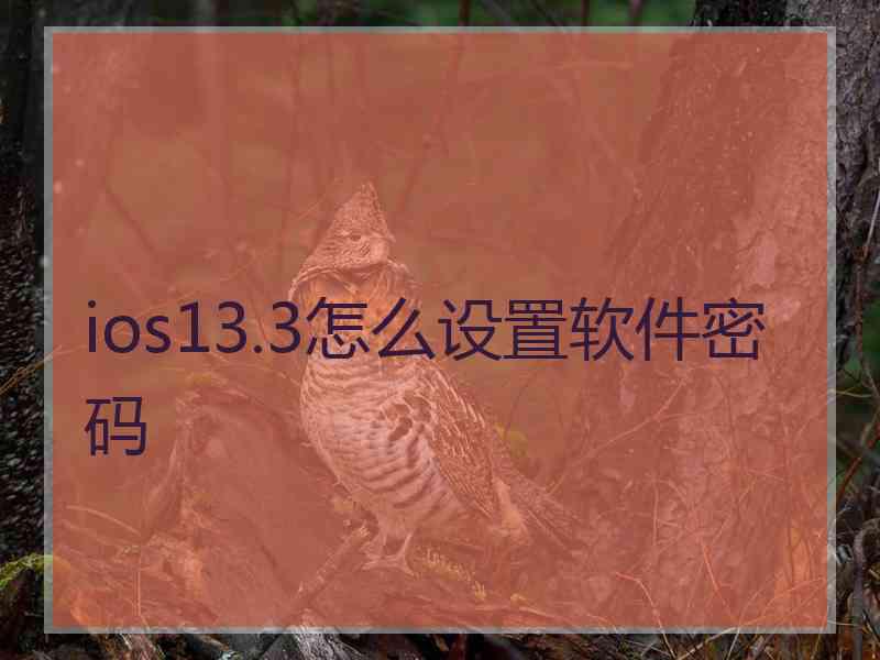 ios13.3怎么设置软件密码