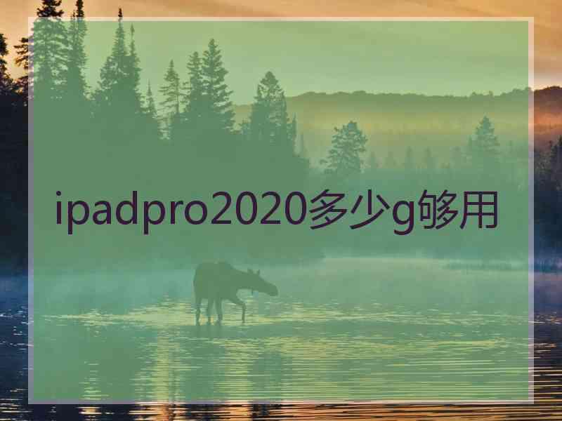 ipadpro2020多少g够用