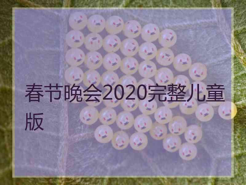 春节晚会2020完整儿童版