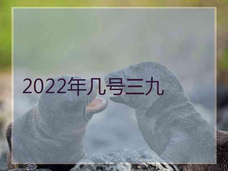 2022年几号三九