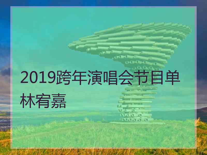 2019跨年演唱会节目单林宥嘉