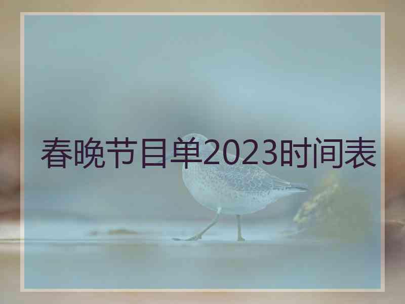 春晚节目单2023时间表