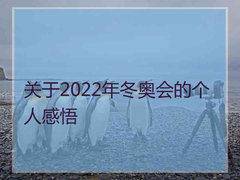 关于2022年冬奥会的个人感悟