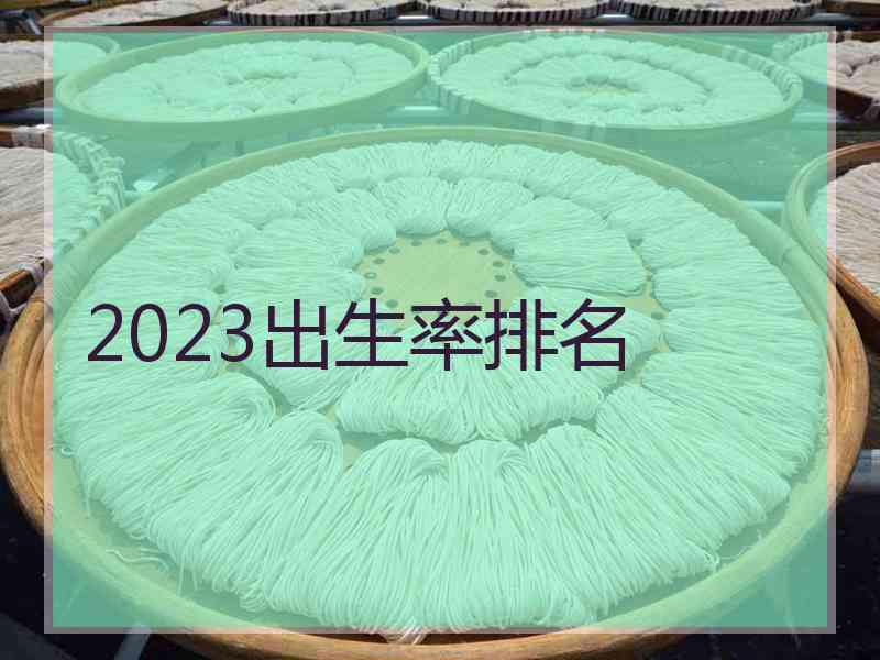 2023出生率排名