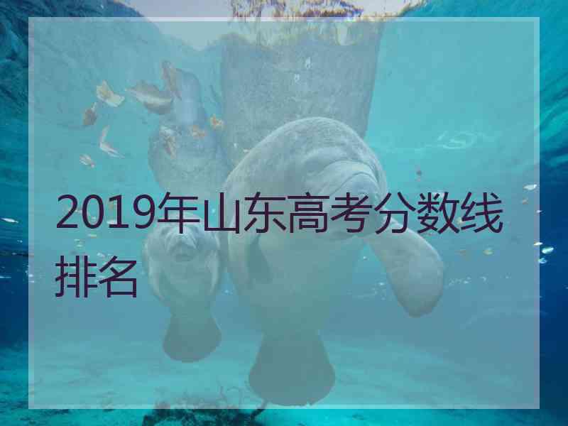 2019年山东高考分数线排名