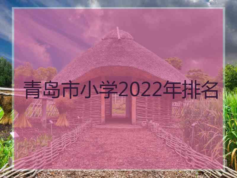 青岛市小学2022年排名