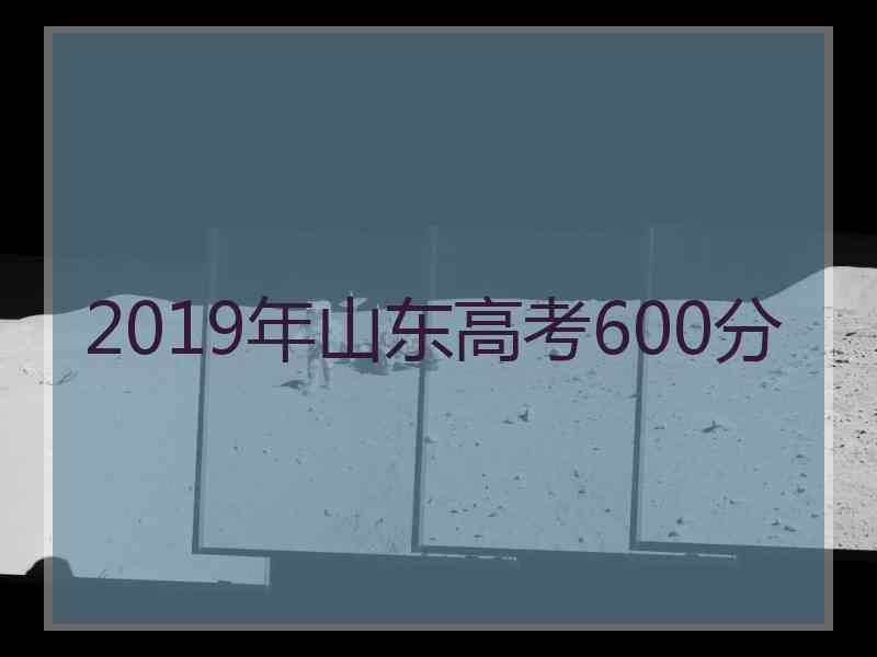 2019年山东高考600分