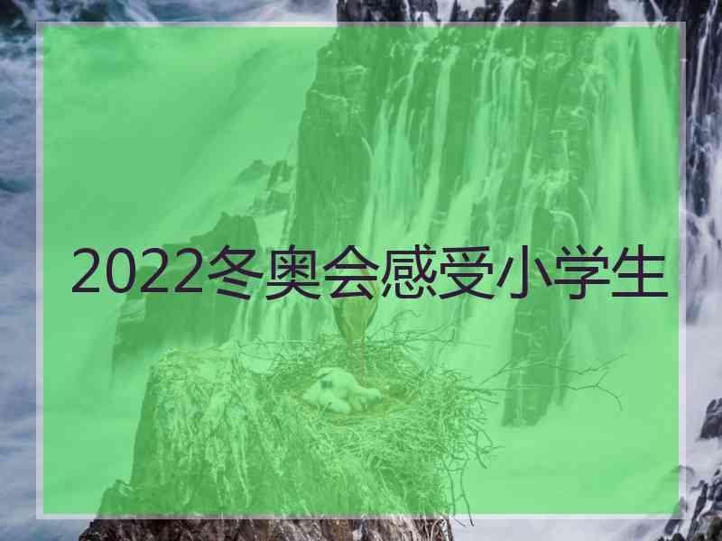 2022冬奥会感受小学生