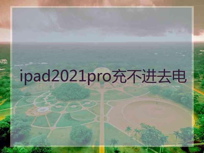 ipad2021pro充不进去电