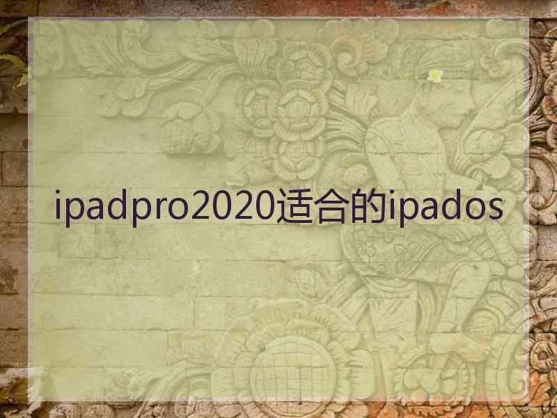 ipadpro2020适合的ipados