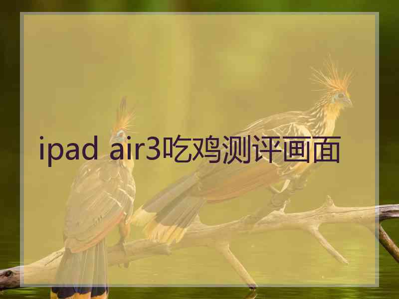 ipad air3吃鸡测评画面