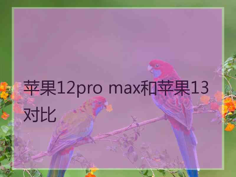 苹果12pro max和苹果13对比