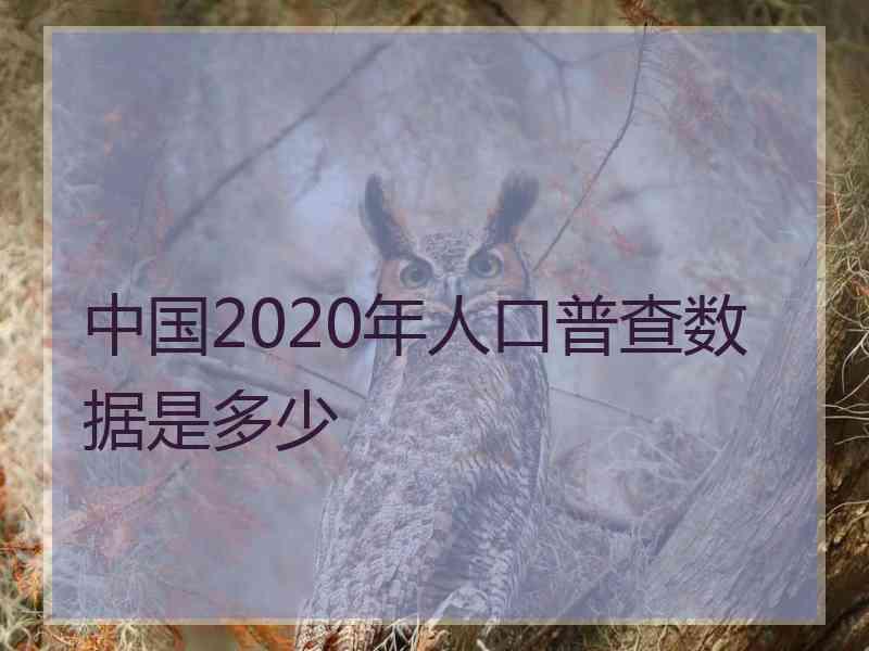 中国2020年人口普查数据是多少