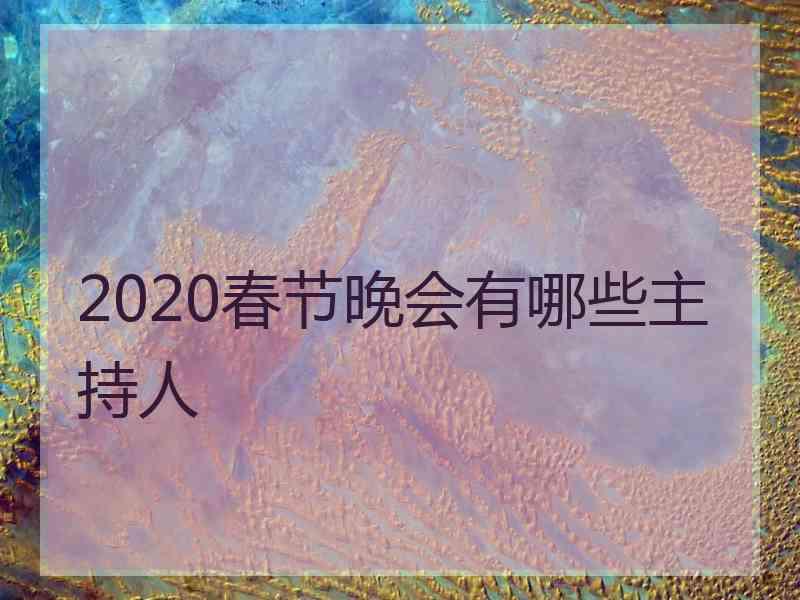 2020春节晚会有哪些主持人