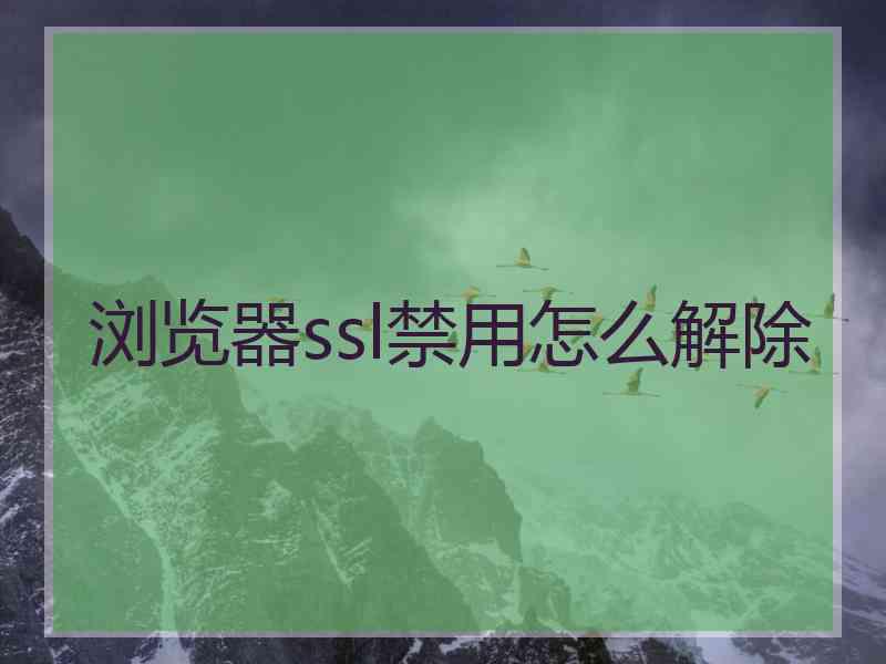 浏览器ssl禁用怎么解除