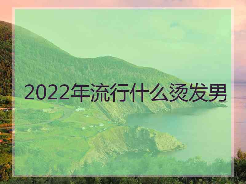 2022年流行什么烫发男