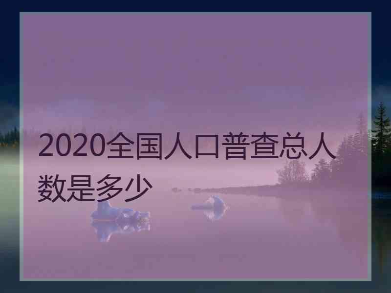 2020全国人口普查总人数是多少