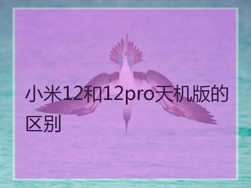 小米12和12pro天机版的区别