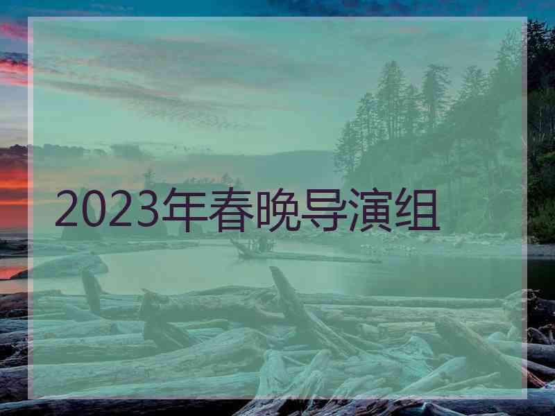 2023年春晚导演组