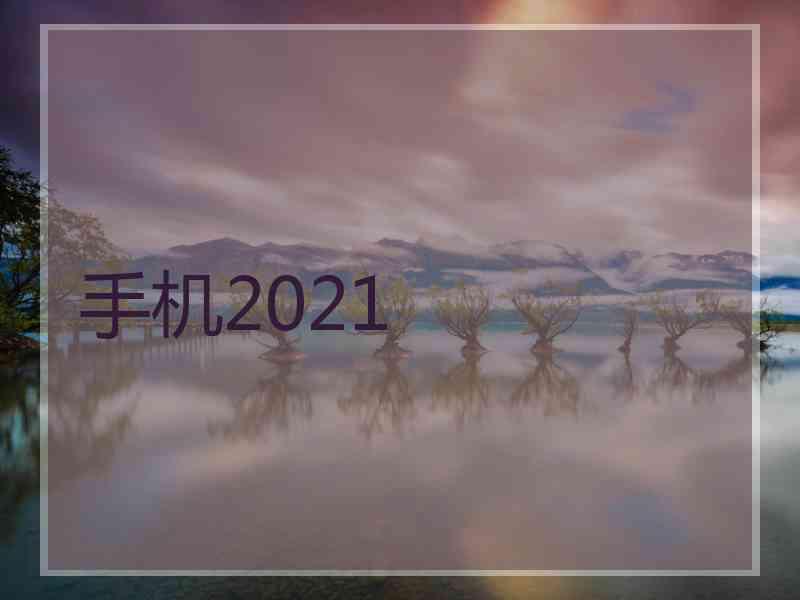 手机2021