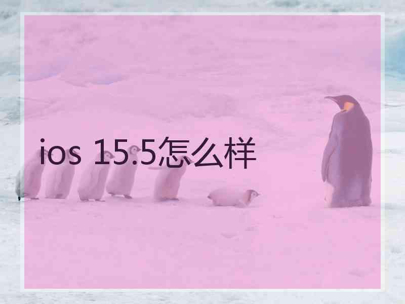 ios 15.5怎么样