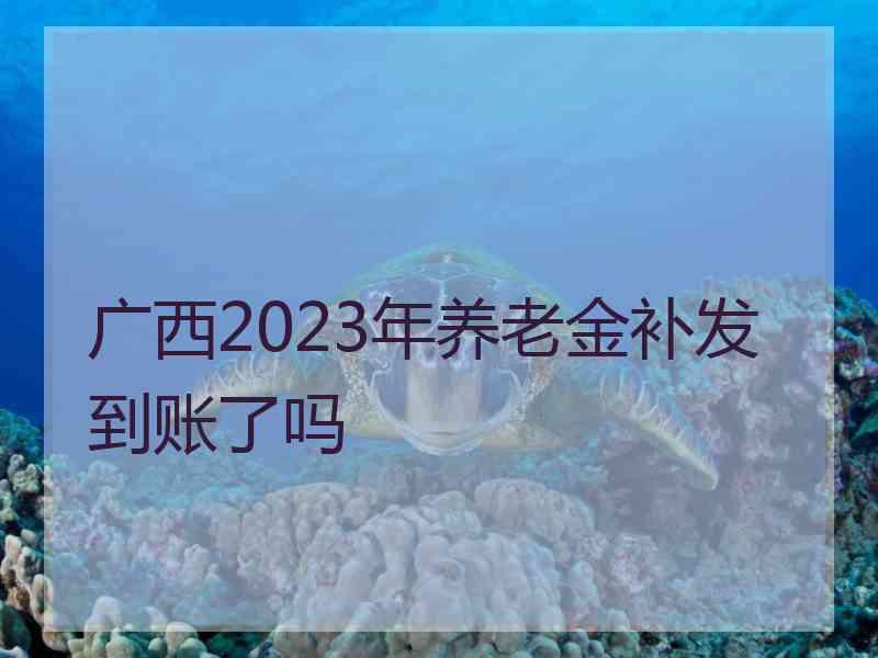 广西2023年养老金补发到账了吗