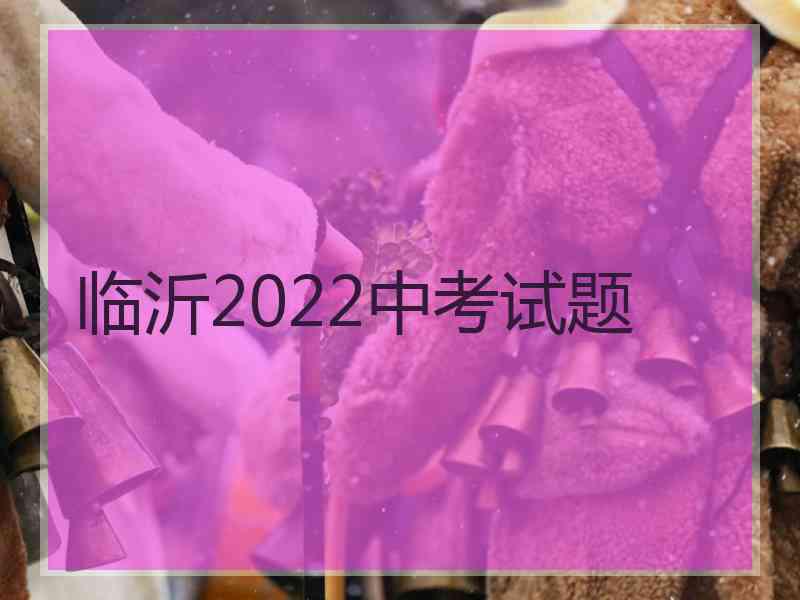 临沂2022中考试题