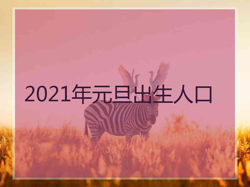 2021年元旦出生人口