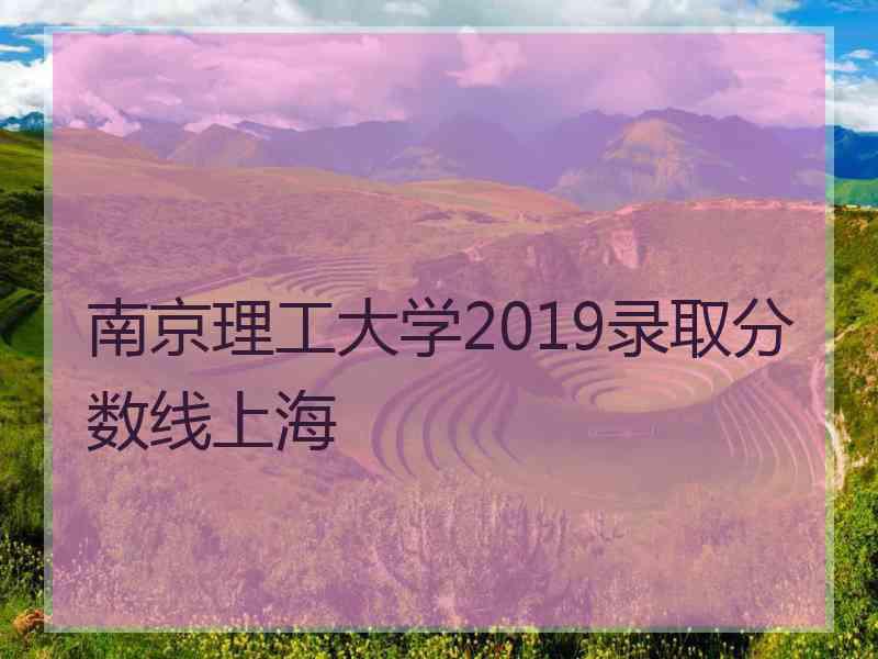 南京理工大学2019录取分数线上海