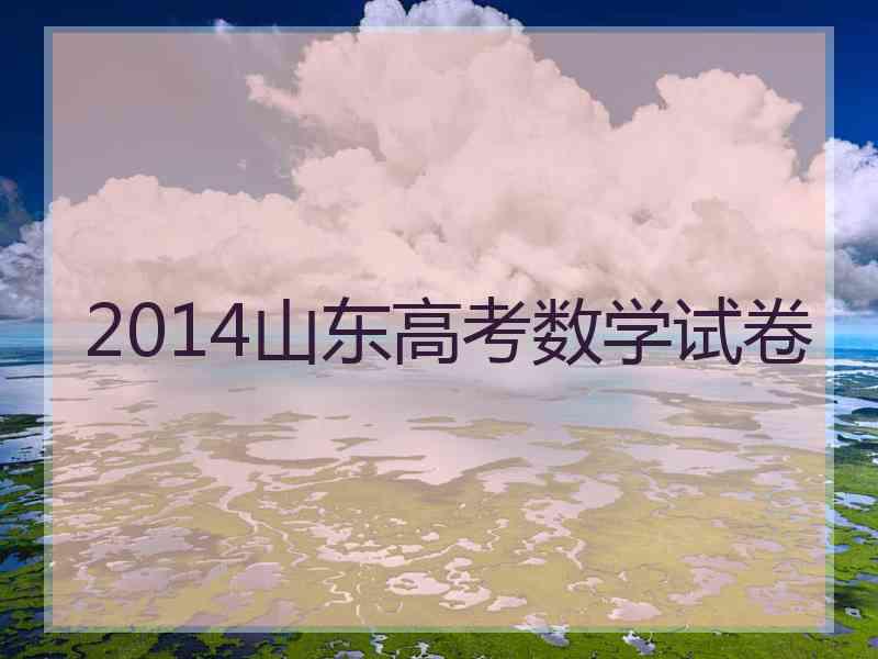 2014山东高考数学试卷