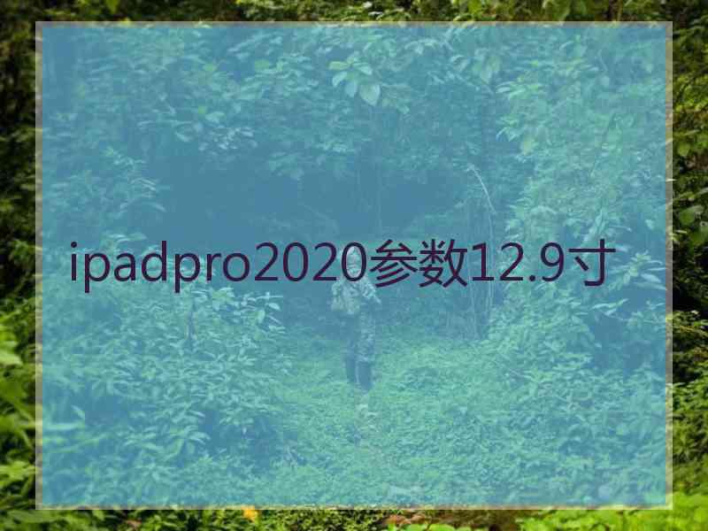 ipadpro2020参数12.9寸